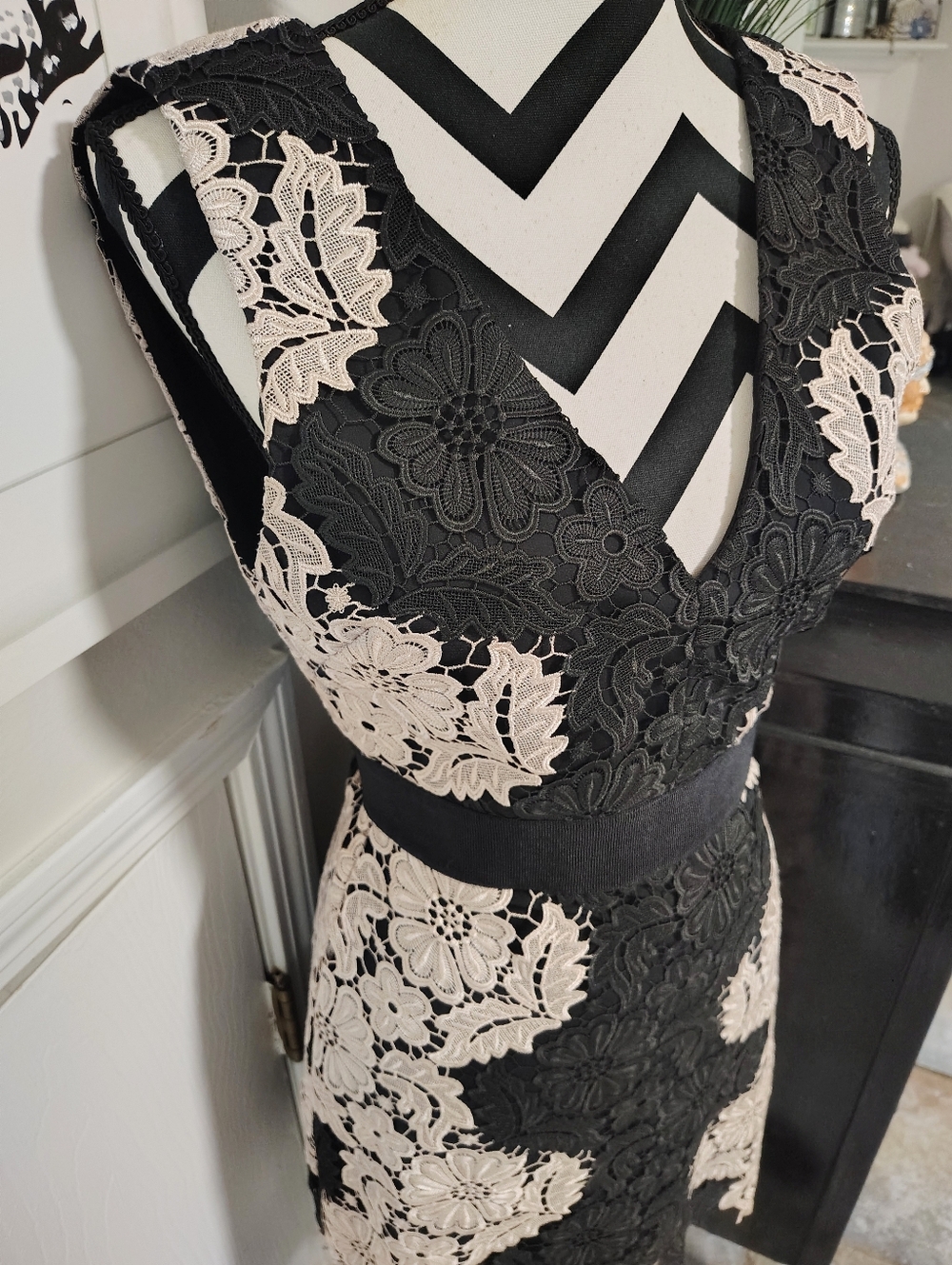 Alice + Olivia Patrice A-Line Lace Dress Black and Cream Women's 2 Floral - Picture 3 of 16